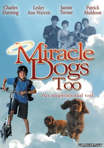 Зак и чудо-собаки 2006 смотреть онлайн